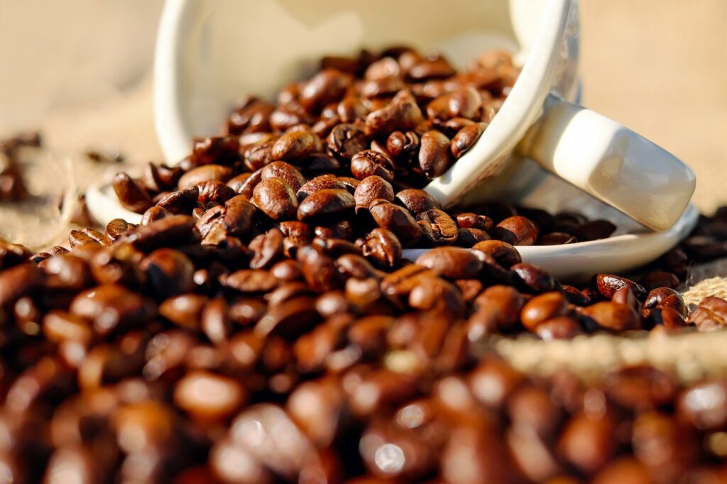Tasse Kaffeebohnen Porzellan Von Tafelservice bis Teekanne Die Welt des Porzellangeschirrs